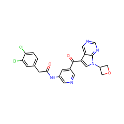 O=C(Cc1ccc(Cl)c(Cl)c1)Nc1cncc(C(=O)c2cn(C3COC3)c3ncncc23)c1 ZINC000169707774