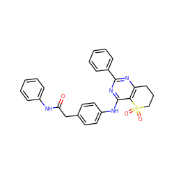 O=C(Cc1ccc(Nc2nc(-c3ccccc3)nc3c2S(=O)(=O)CCC3)cc1)Nc1ccccc1 ZINC000096927479