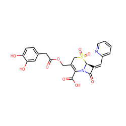 O=C(Cc1ccc(O)c(O)c1)OCC1=C(C(=O)O)N2C(=O)/C(=C/c3ccccn3)[C@@H]2S(=O)(=O)C1 ZINC000027988457