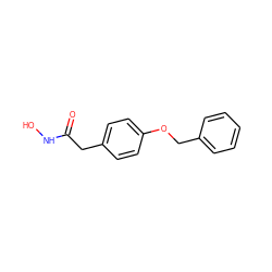 O=C(Cc1ccc(OCc2ccccc2)cc1)NO ZINC000029546851