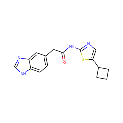 O=C(Cc1ccc2[nH]cnc2c1)Nc1ncc(C2CCC2)s1 ZINC000028393663