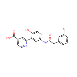 O=C(Cc1cccc(Br)c1)Nc1ccc(O)c(-c2cc(C(=O)O)ccn2)c1 ZINC000653723363