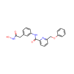 O=C(Cc1cccc(NC(=O)c2cccc(COc3ccccc3)n2)c1)NO ZINC000028458905