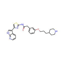 O=C(Cc1cccc(OCCCC2CCNCC2)c1)Nc1nc(-c2c[nH]c3ncccc23)cs1 ZINC000035821381