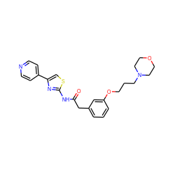 O=C(Cc1cccc(OCCCN2CCOCC2)c1)Nc1nc(-c2ccncc2)cs1 ZINC000202488724