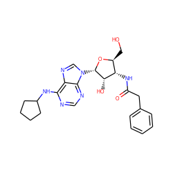 O=C(Cc1ccccc1)N[C@@H]1[C@H](O)[C@H](n2cnc3c(NC4CCCC4)ncnc32)O[C@H]1CO ZINC000027201658