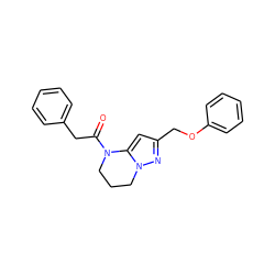 O=C(Cc1ccccc1)N1CCCn2nc(COc3ccccc3)cc21 ZINC000473152464