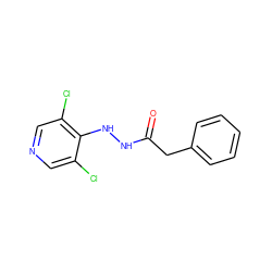 O=C(Cc1ccccc1)NNc1c(Cl)cncc1Cl ZINC000084654743