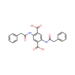 O=C(Cc1ccccc1)Nc1cc(C(=O)O)c(NC(=O)Cc2ccccc2)cc1C(=O)O ZINC000009310951