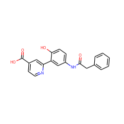 O=C(Cc1ccccc1)Nc1ccc(O)c(-c2cc(C(=O)O)ccn2)c1 ZINC000653723278