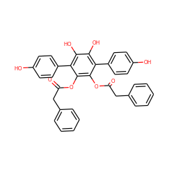 O=C(Cc1ccccc1)Oc1c(OC(=O)Cc2ccccc2)c(-c2ccc(O)cc2)c(O)c(O)c1-c1ccc(O)cc1 ZINC000064859315