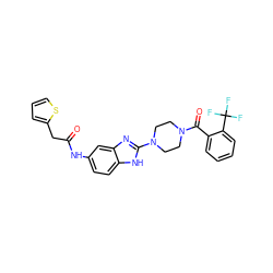 O=C(Cc1cccs1)Nc1ccc2[nH]c(N3CCN(C(=O)c4ccccc4C(F)(F)F)CC3)nc2c1 ZINC000095586344