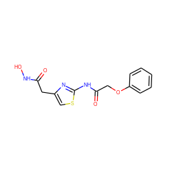 O=C(Cc1csc(NC(=O)COc2ccccc2)n1)NO ZINC000028462066