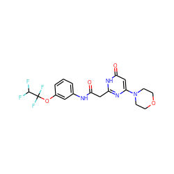O=C(Cc1nc(N2CCOCC2)cc(=O)[nH]1)Nc1cccc(OC(F)(F)C(F)F)c1 ZINC000115066565