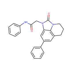 O=C(Cn1c(=O)n2c3c(cc(-c4ccccc4)cc31)CCC2)Nc1ccccc1 ZINC000095591864