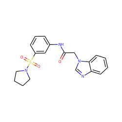 O=C(Cn1cnc2ccccc21)Nc1cccc(S(=O)(=O)N2CCCC2)c1 ZINC000005190970