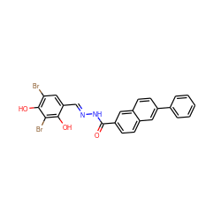 O=C(N/N=C/c1cc(Br)c(O)c(Br)c1O)c1ccc2cc(-c3ccccc3)ccc2c1 ZINC000095592214