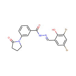 O=C(N/N=C/c1cc(Br)cc(Br)c1O)c1cccc(N2CCCC2=O)c1 ZINC000000822281