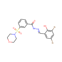 O=C(N/N=C/c1cc(Br)cc(Br)c1O)c1cccc(S(=O)(=O)N2CCOCC2)c1 ZINC000003201130