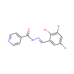 O=C(N/N=C/c1cc(Br)cc(Br)c1O)c1ccncc1 ZINC000001088915