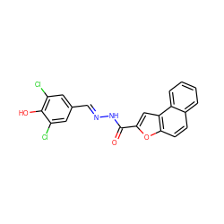 O=C(N/N=C/c1cc(Cl)c(O)c(Cl)c1)c1cc2c(ccc3ccccc32)o1 ZINC000001011396