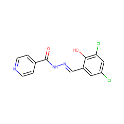 O=C(N/N=C/c1cc(Cl)cc(Cl)c1O)c1ccncc1 ZINC000000249809