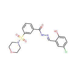 O=C(N/N=C/c1cc(Cl)ccc1O)c1cccc(S(=O)(=O)N2CCOCC2)c1 ZINC000057587407