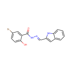 O=C(N/N=C/c1cc2ccccc2[nH]1)c1cc(Br)ccc1O ZINC000095559064