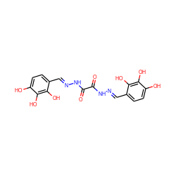 O=C(N/N=C/c1ccc(O)c(O)c1O)C(=O)N/N=C/c1ccc(O)c(O)c1O ZINC000299829864