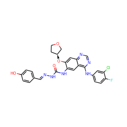 O=C(N/N=C/c1ccc(O)cc1)Nc1cc2c(Nc3ccc(F)c(Cl)c3)ncnc2cc1O[C@H]1CCOC1 ZINC001772588812