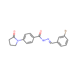 O=C(N/N=C/c1cccc(Br)c1)c1ccc(N2CCCC2=O)cc1 ZINC000000822291