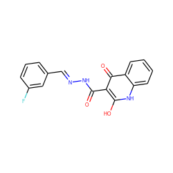 O=C(N/N=C/c1cccc(F)c1)c1c(O)[nH]c2ccccc2c1=O ZINC000008691664