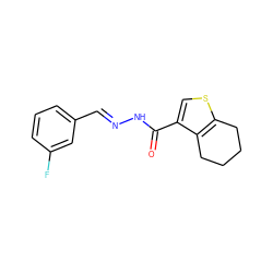 O=C(N/N=C/c1cccc(F)c1)c1csc2c1CCCC2 ZINC000000355564