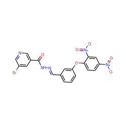 O=C(N/N=C/c1cccc(Oc2ccc([N+](=O)[O-])cc2[N+](=O)[O-])c1)c1cncc(Br)c1 ZINC000003084352