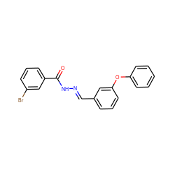 O=C(N/N=C/c1cccc(Oc2ccccc2)c1)c1cccc(Br)c1 ZINC000001957796