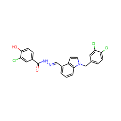 O=C(N/N=C/c1cccc2c1ccn2Cc1ccc(Cl)c(Cl)c1)c1ccc(O)c(Cl)c1 ZINC000013492730