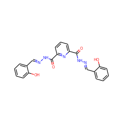 O=C(N/N=C/c1ccccc1O)c1cccc(C(=O)N/N=C/c2ccccc2O)n1 ZINC000001225898