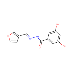 O=C(N/N=C/c1ccoc1)c1cc(O)cc(O)c1 ZINC000015933907