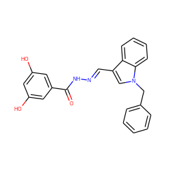 O=C(N/N=C/c1cn(Cc2ccccc2)c2ccccc12)c1cc(O)cc(O)c1 ZINC000015934415