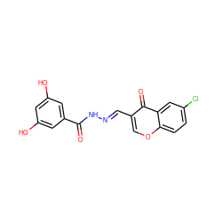 O=C(N/N=C/c1coc2ccc(Cl)cc2c1=O)c1cc(O)cc(O)c1 ZINC000005945528