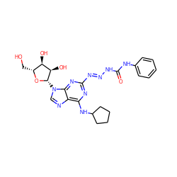 O=C(N/N=N/c1nc(NC2CCCC2)c2ncn([C@@H]3O[C@H](CO)[C@@H](O)[C@H]3O)c2n1)Nc1ccccc1 ZINC000013517448