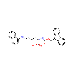 O=C(N[C@@H](CCCCNc1cccc2ccccc12)C(=O)O)OCC1c2ccccc2-c2ccccc21 ZINC000028130525