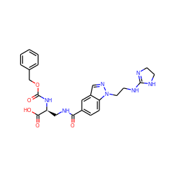 O=C(N[C@@H](CNC(=O)c1ccc2c(cnn2CCNC2=NCCN2)c1)C(=O)O)OCc1ccccc1 ZINC000013803681