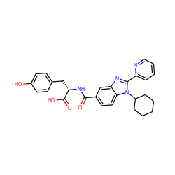 O=C(N[C@@H](Cc1ccc(O)cc1)C(=O)O)c1ccc2c(c1)nc(-c1ccccn1)n2C1CCCCC1 ZINC000028107453