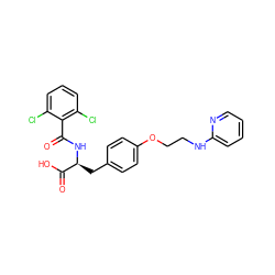 O=C(N[C@@H](Cc1ccc(OCCNc2ccccn2)cc1)C(=O)O)c1c(Cl)cccc1Cl ZINC000084758883