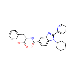 O=C(N[C@@H](Cc1ccccc1)C(=O)O)c1ccc2c(c1)nc(-c1ccccn1)n2C1CCCCC1 ZINC000028106816