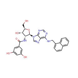 O=C(N[C@@H]1[C@H](O)[C@@H](CO)O[C@H]1n1cnc2c(NCc3cccc4ccccc34)ncnc21)c1cc(O)cc(O)c1 ZINC000026186161