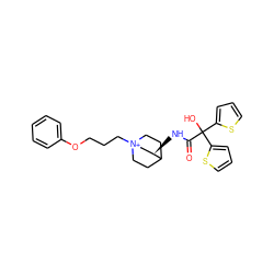 O=C(N[C@@H]1C[N+]2(CCCOc3ccccc3)CCC1CC2)C(O)(c1cccs1)c1cccs1 ZINC000013975415