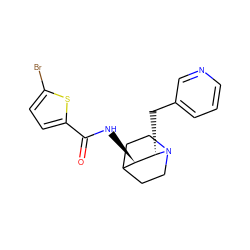 O=C(N[C@@H]1C2CCN(CC2)[C@H]1Cc1cccnc1)c1ccc(Br)s1 ZINC000035943268