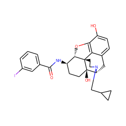 O=C(N[C@@H]1CC[C@@]2(O)[C@H]3Cc4ccc(O)c5c4[C@@]2(CCN3CC2CC2)[C@H]1O5)c1cccc(I)c1 ZINC000072175352